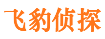 铜官山外遇调查取证